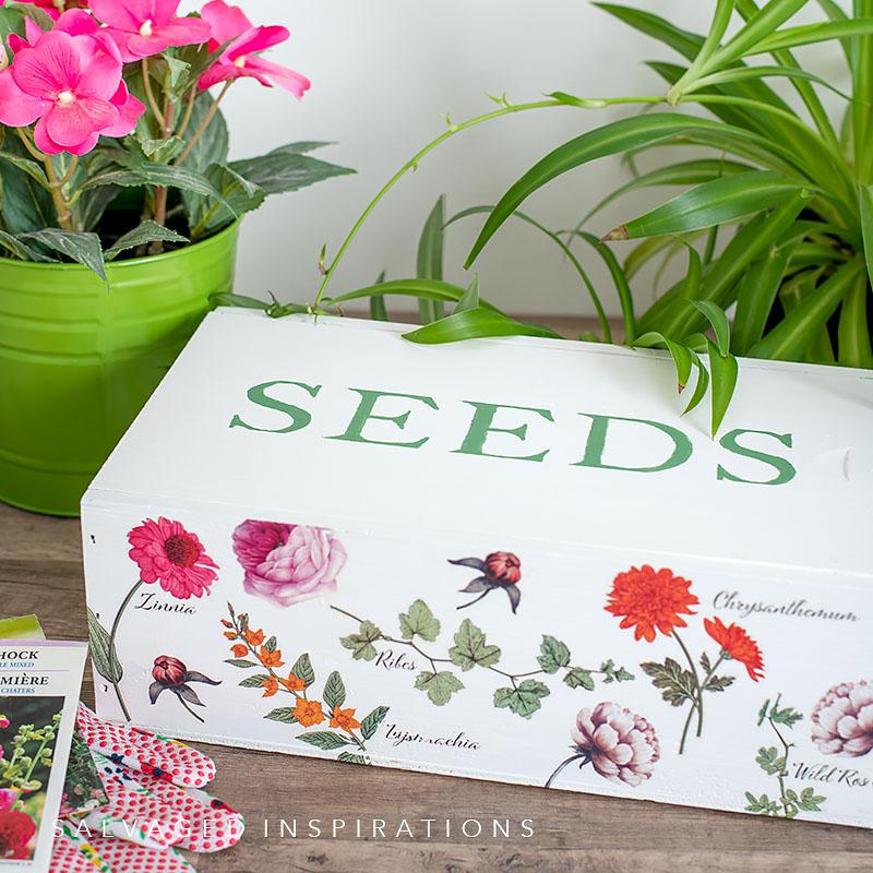 Salvaged-Wine-Box-To-Seedbox-IG.jpg