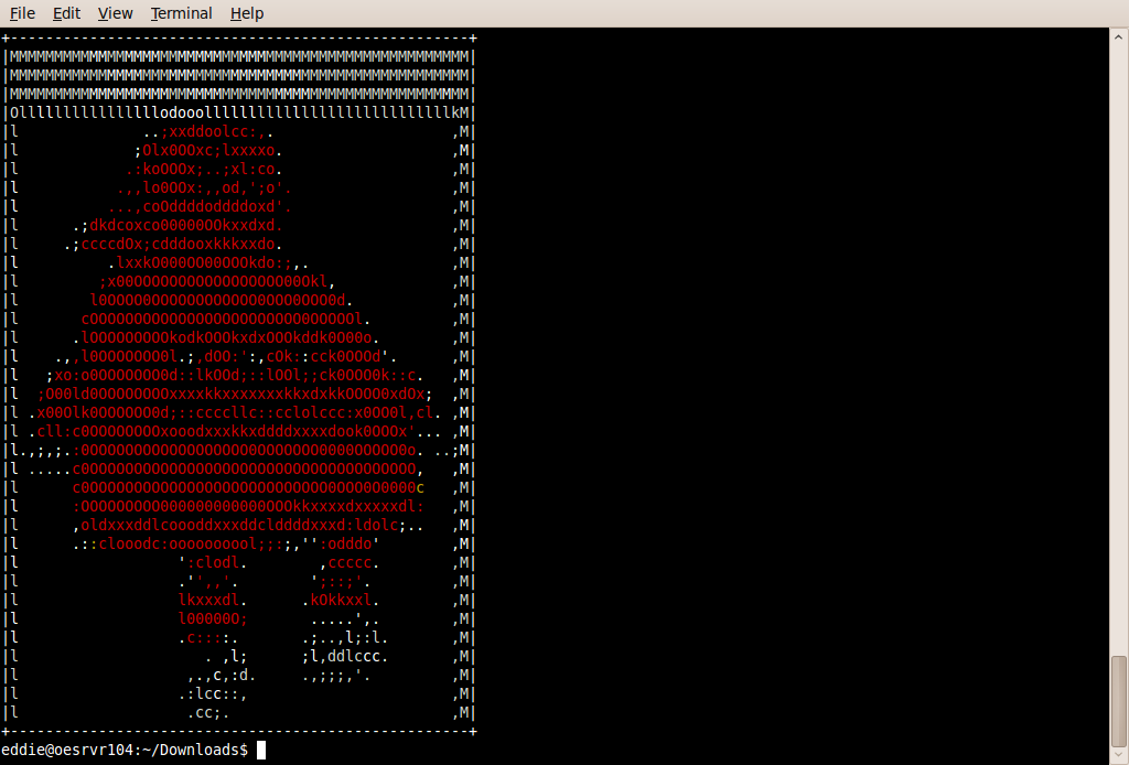 Screenshot-eddie@oesrvr104: ~-Downloads.png