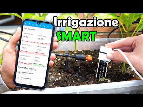 Sensori di Umidit&agrave; del Terreno connessi a Internet con ESP32 - Irrigazione Automatica FAI da TE