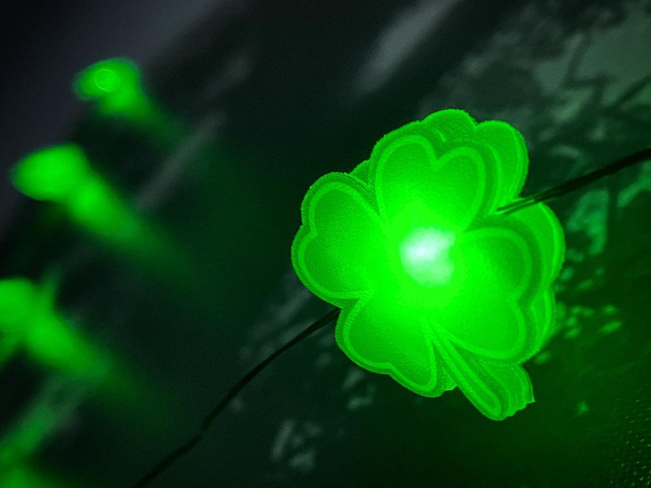 Shamrock LEDs - 9 of 9.jpeg