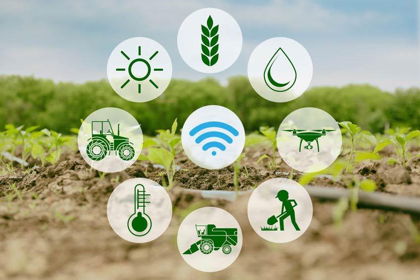 Smart-farming-IoT-application- in-Agriculture.jpg