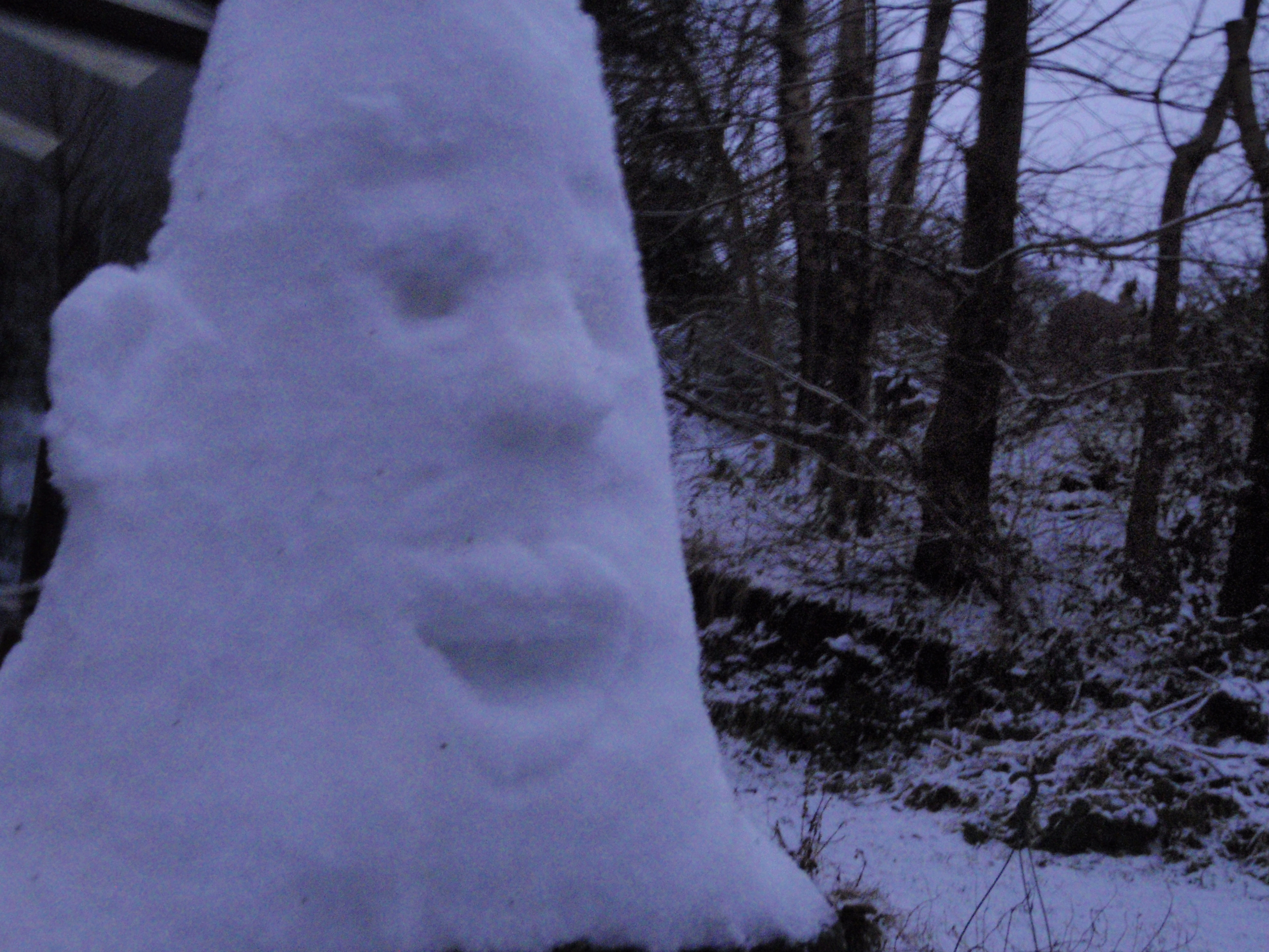 Snow Gentleman 005.jpg