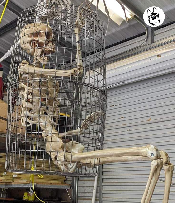 StewieWorks_caged skelly3 copy.jpg