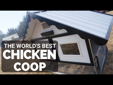 THE BEST CHICKEN COOP IN THE WORLD! We Unbox, Build and Review it...