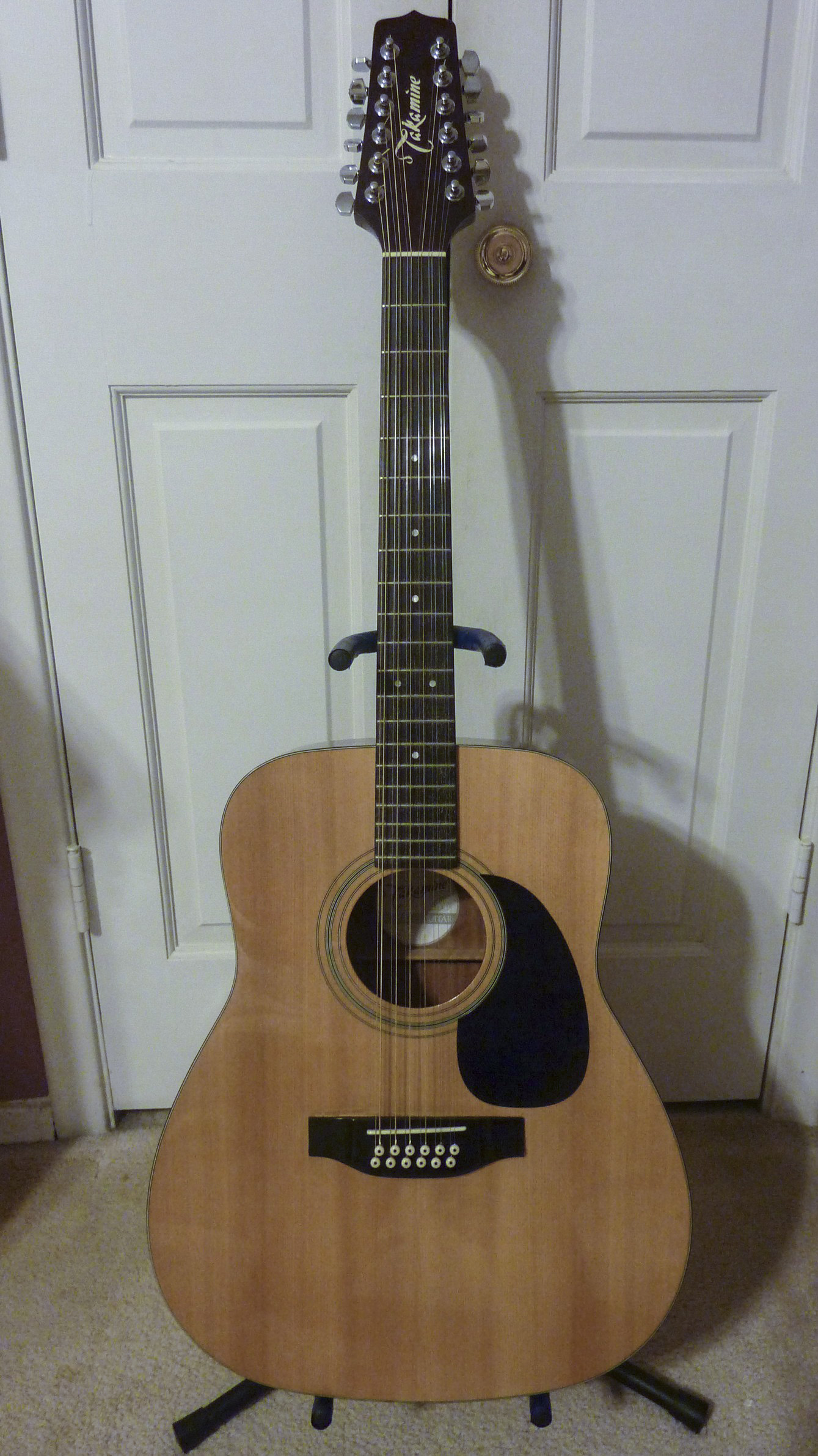 TakamineG335.jpg