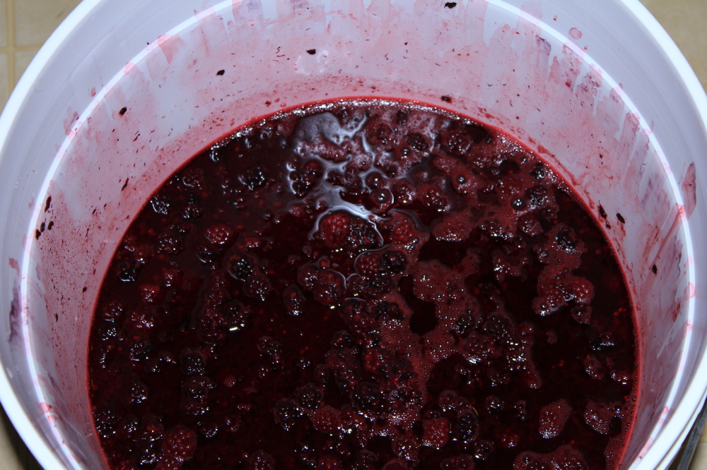 Thawed_Blackberries_fermenting.jpg