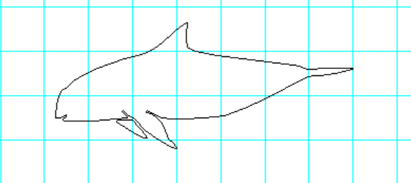 Vaquita 2.PNG