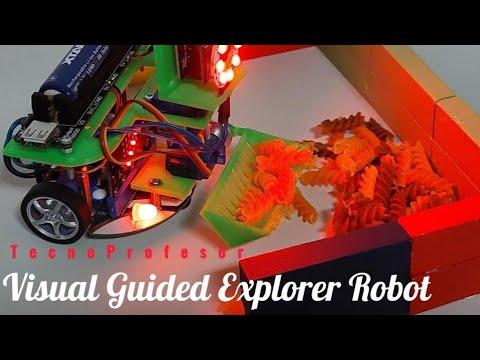 Visual Guided Explorer Robot