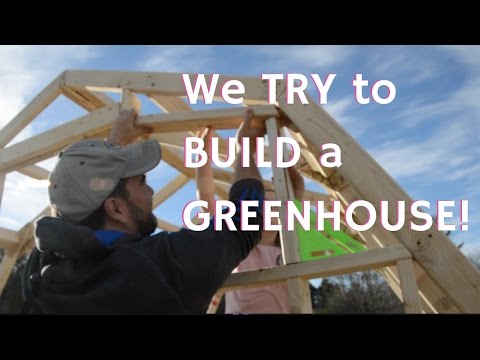 We BUILD a GREENHOUSE from Scratch, DIY!