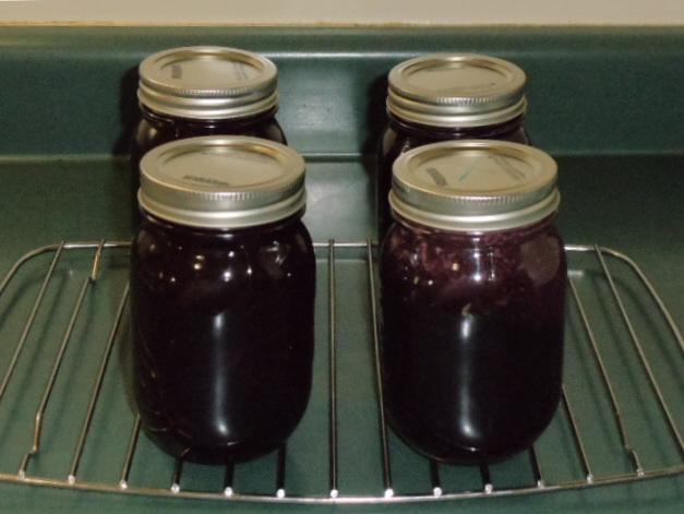 Wild Blue Berry Jam 15.JPG