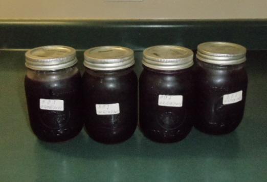 Wild Blue Berry Jam 16.JPG