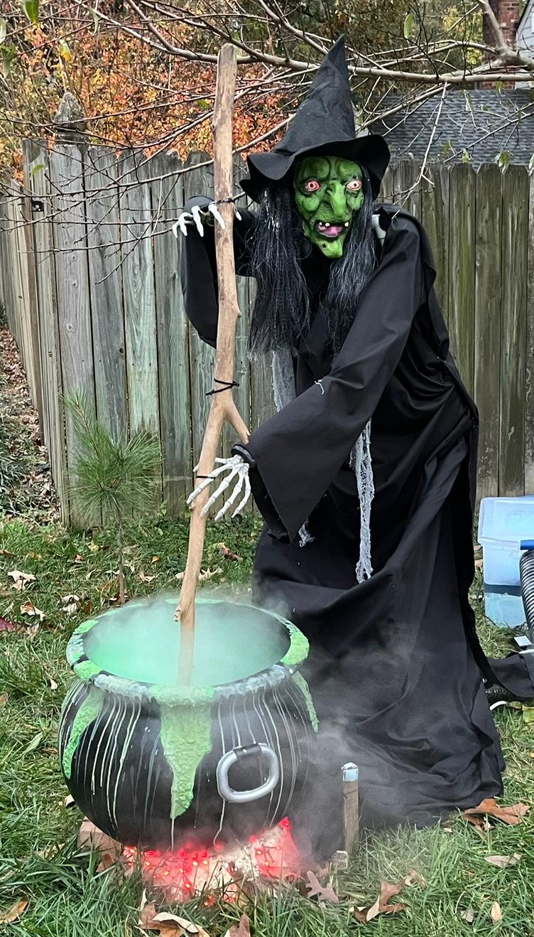 Witch and Cauldron Crop.JPEG