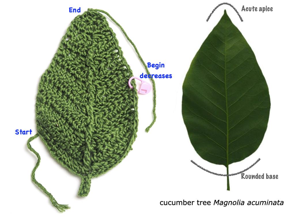 basic leaf crochet.003.jpeg