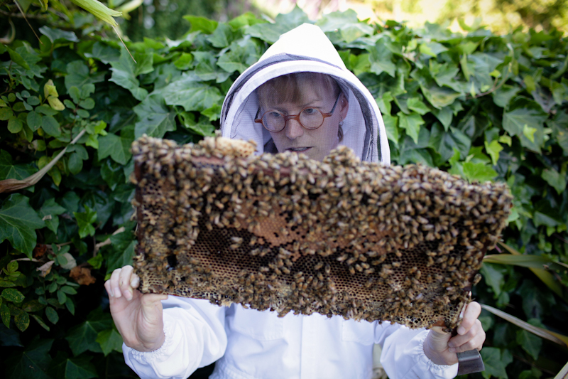 beekeeping_0710_15.jpg