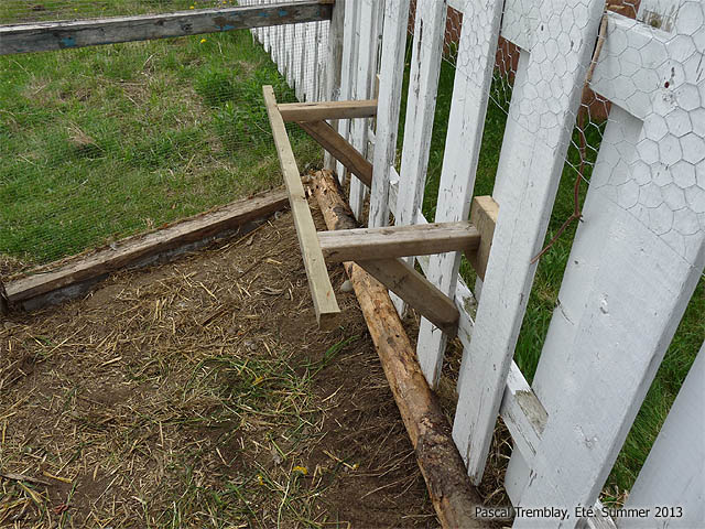 chicken-coop-perch.jpg