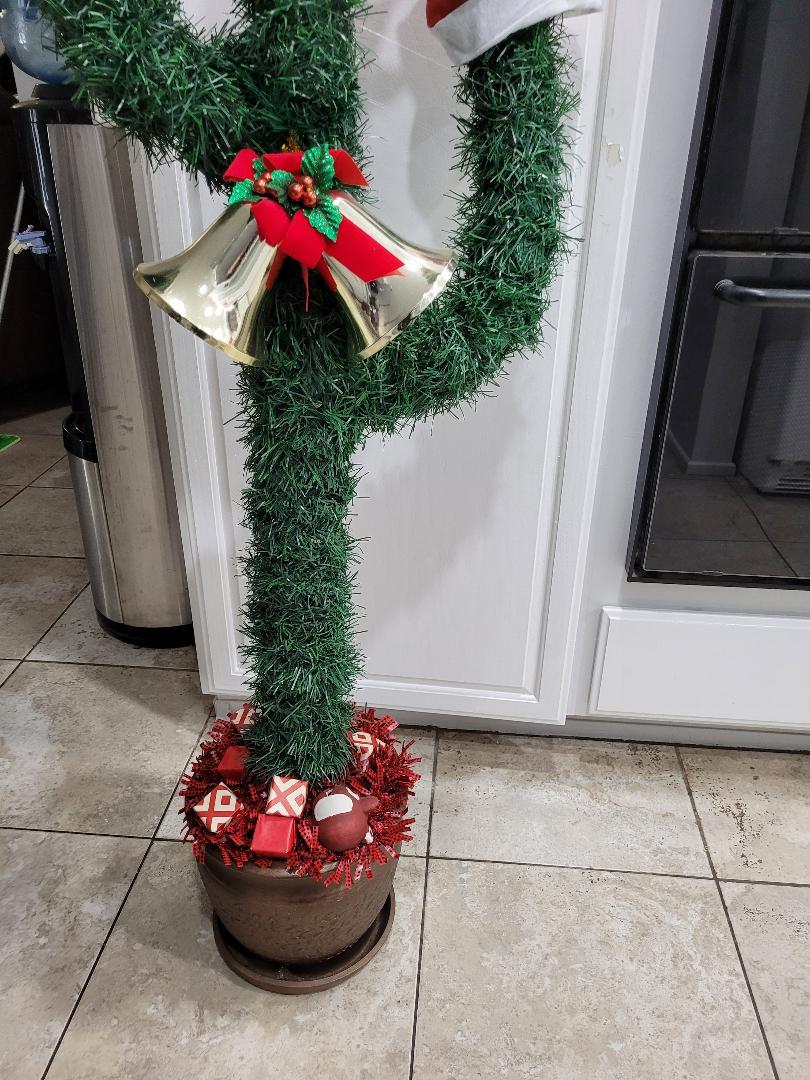 christmascactus11.jpg