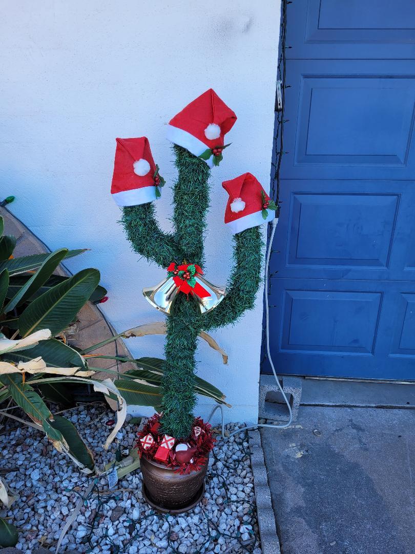 christmascactus3.jpg