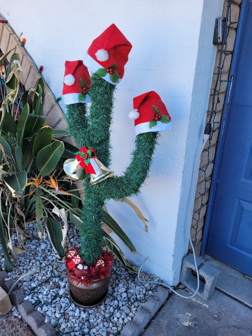 christmascactus4.jpg