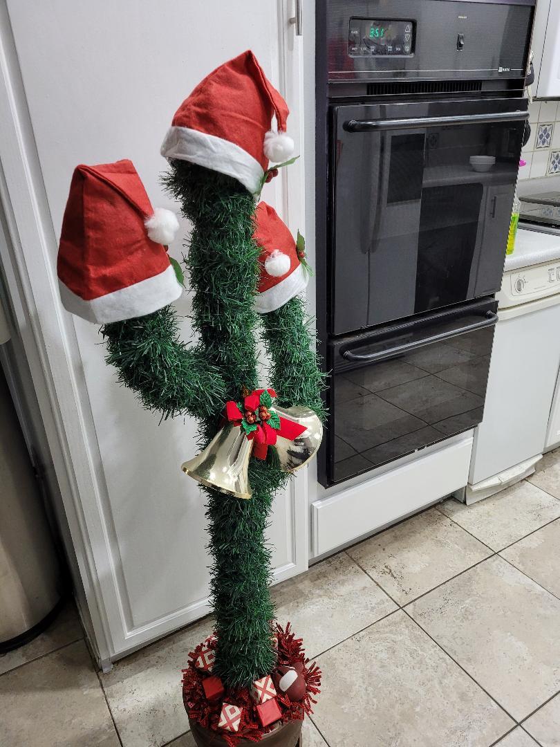 christmascactus7.jpg