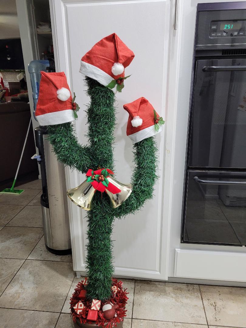 christmascactus8.jpg