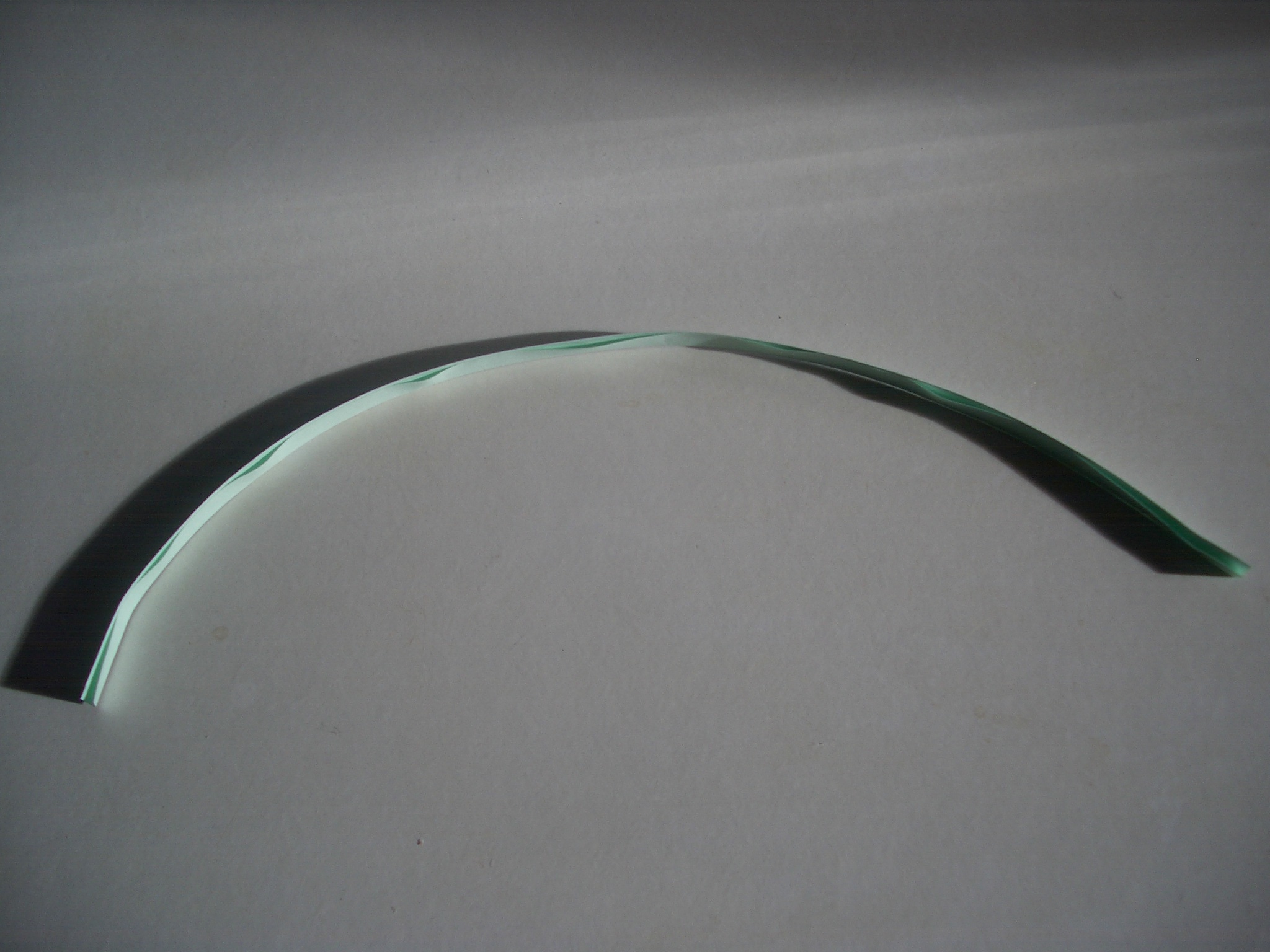 curved strip.JPG