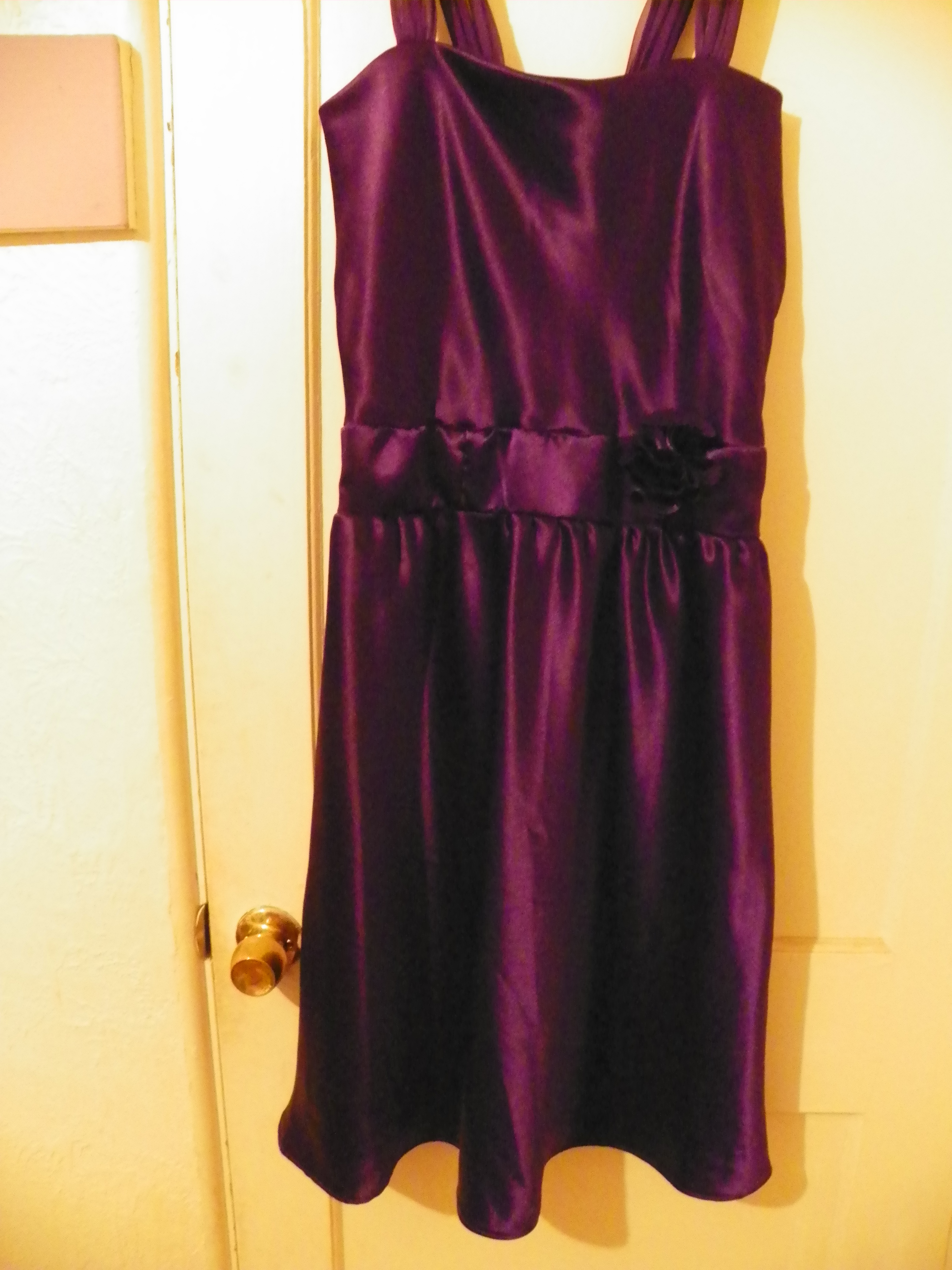 dress purple on hangar 002.jpg