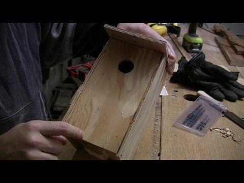 easy birdhouse project