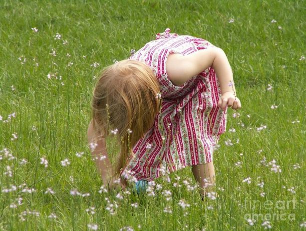 flower picking.JPG