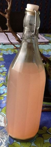 ginger beer-cropped.jpg