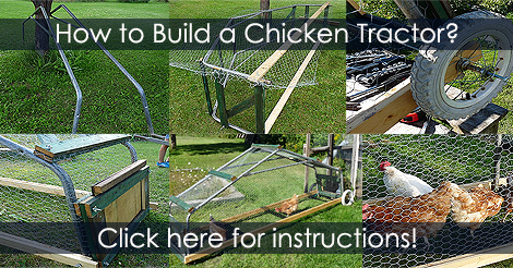 how-to-build-a-chicken-tractor-plan.png