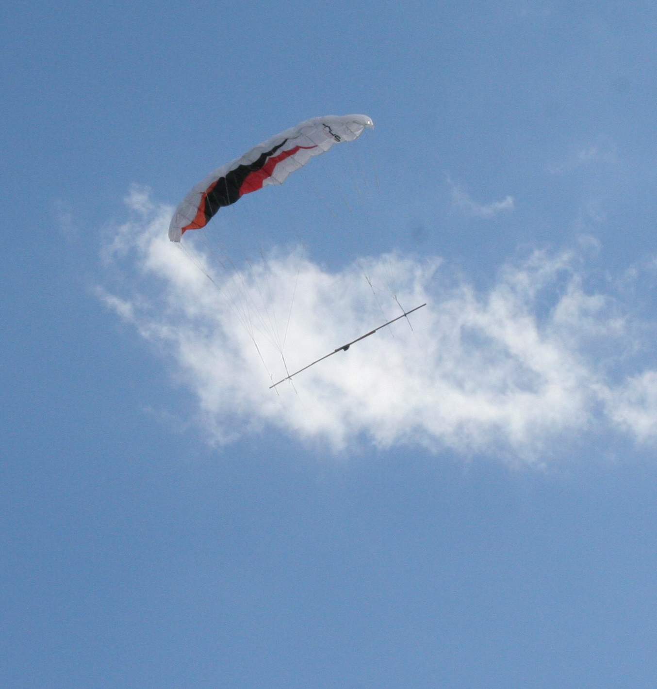 kite1.jpg