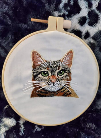 kitty on hoop copy.jpg