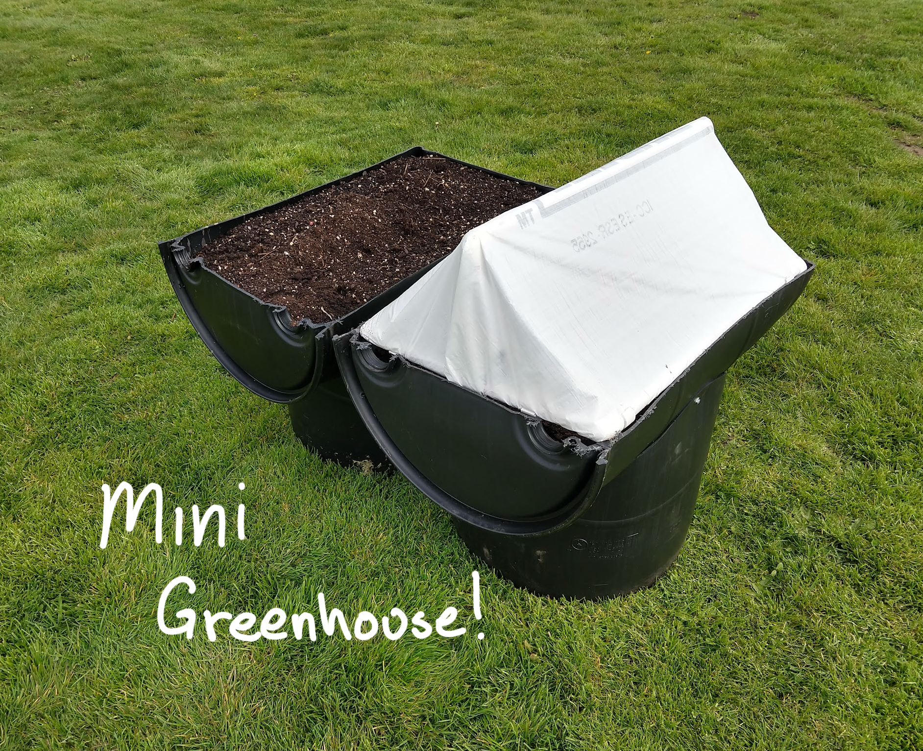 mini greenhouse title3.png