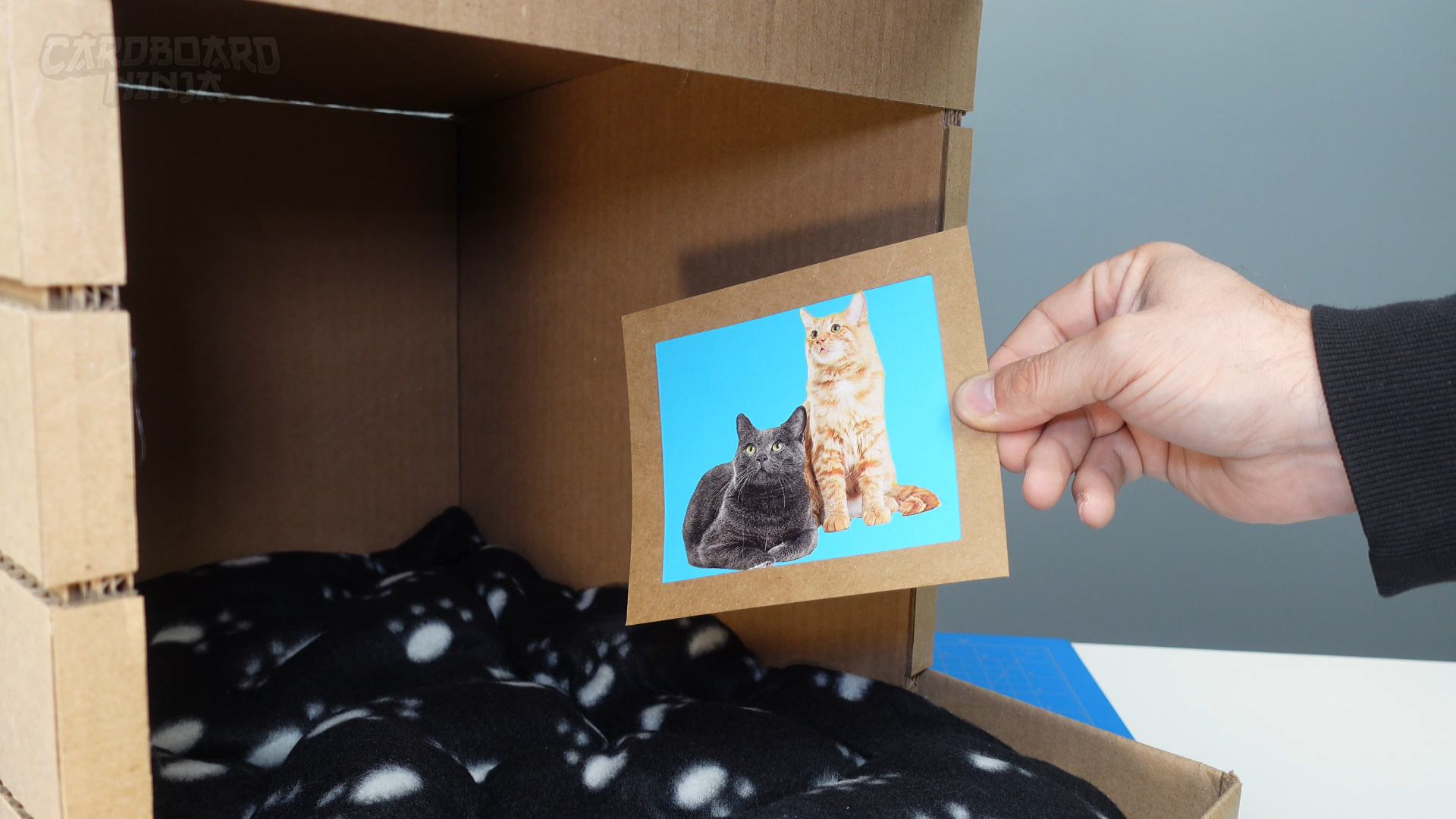 modern_cardboard_cat_house_2S.png