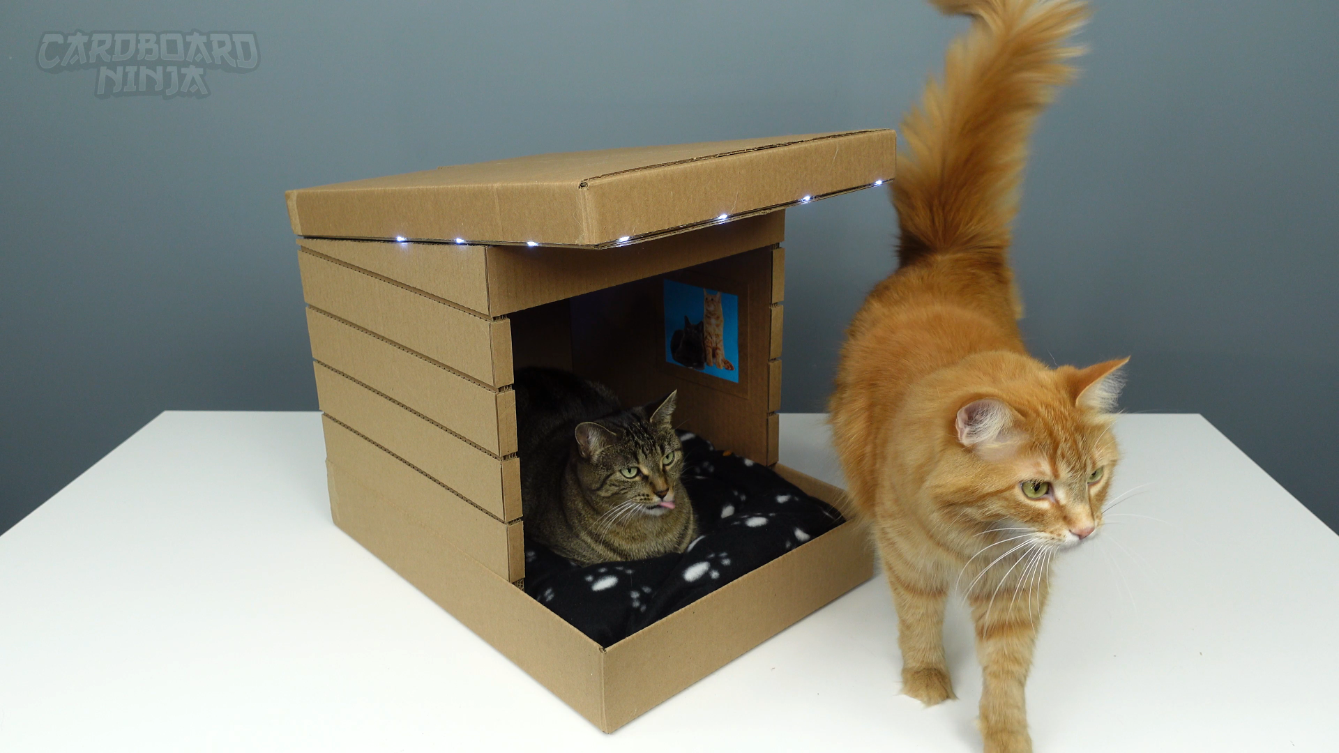 modern_cardboard_cat_house_2V4.png