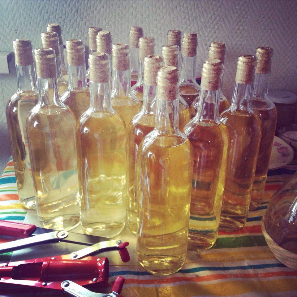 my home made wine 1.jpg