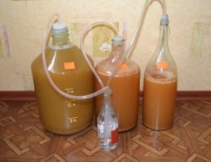 peach wine fermentation.jpg