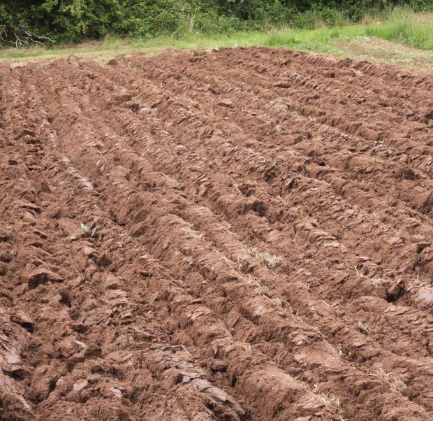 ploughed.jpg