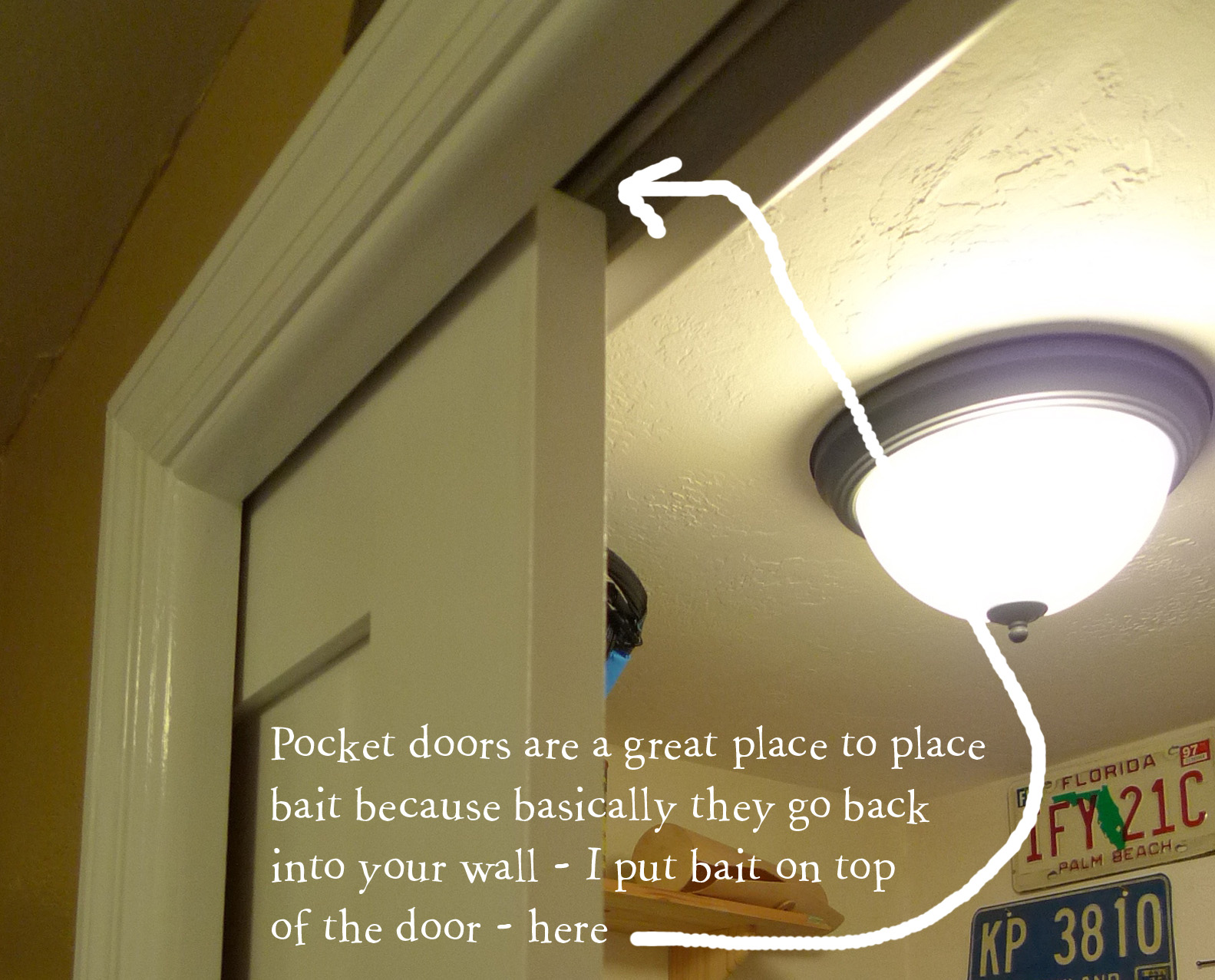 pocket door.jpg