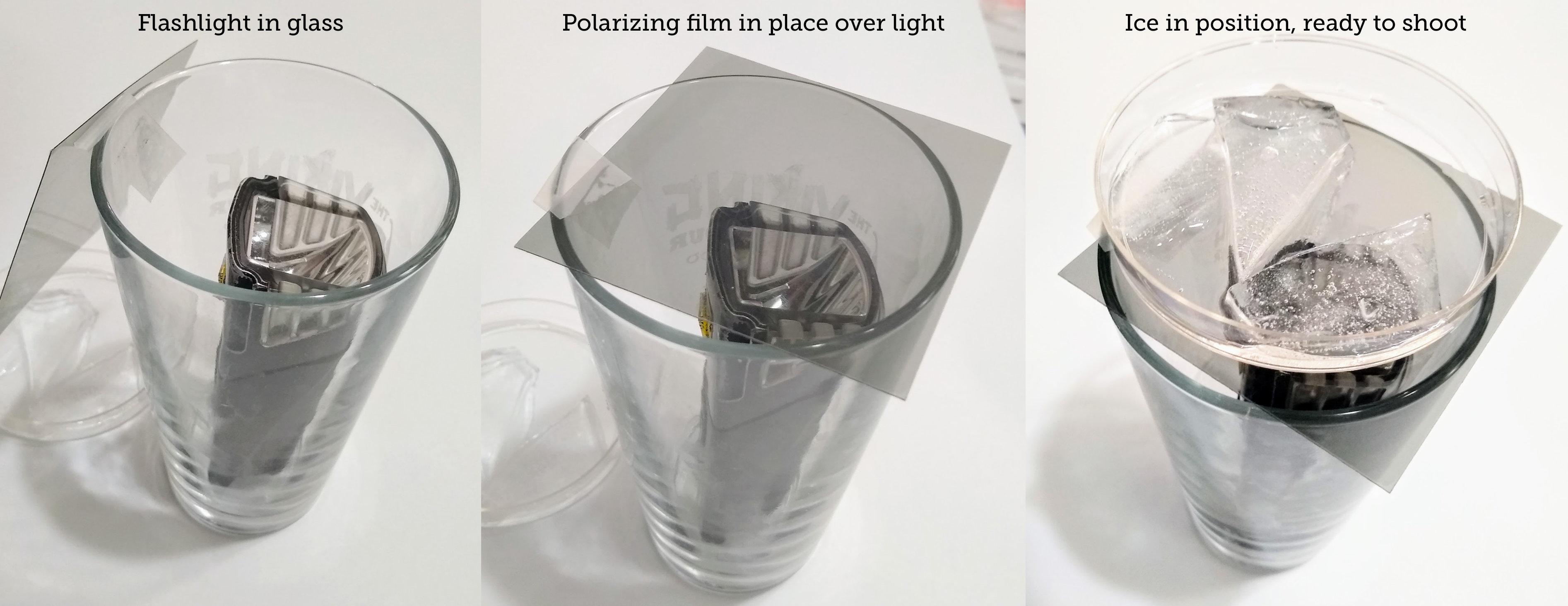 polarizingpetridish.jpg