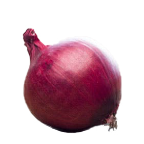 red onion on plate.jpg