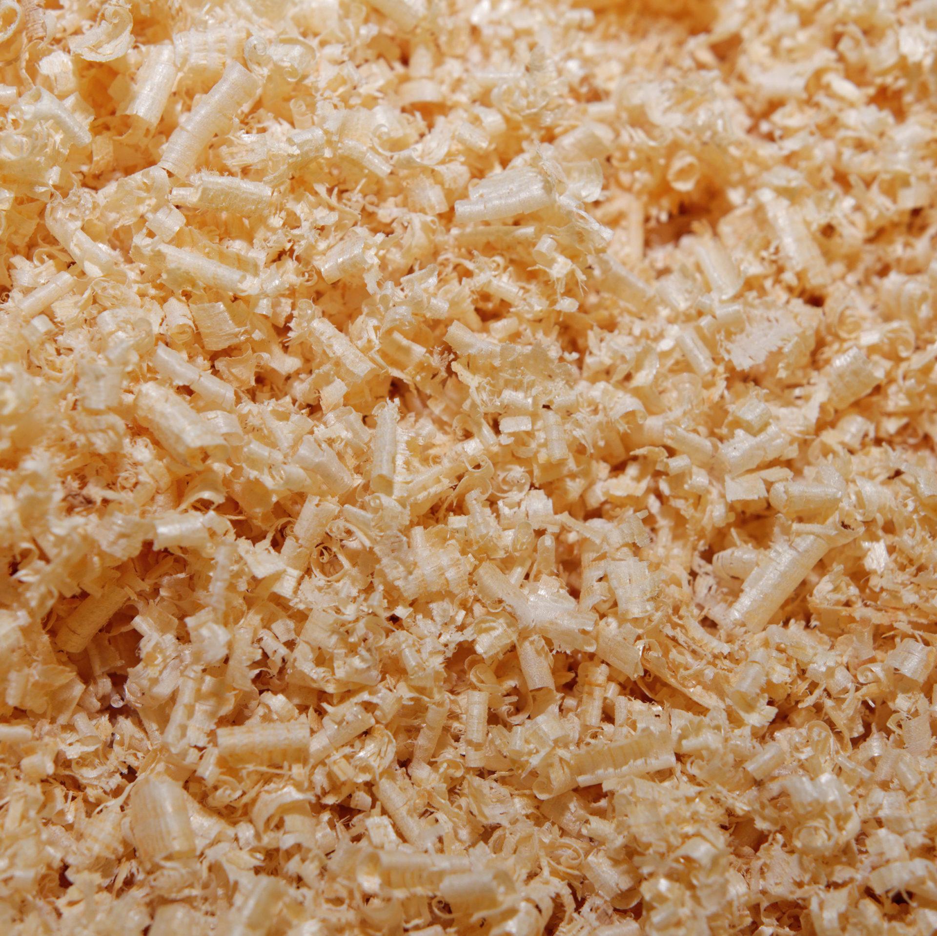 sawdust-e1553257242414.jpg