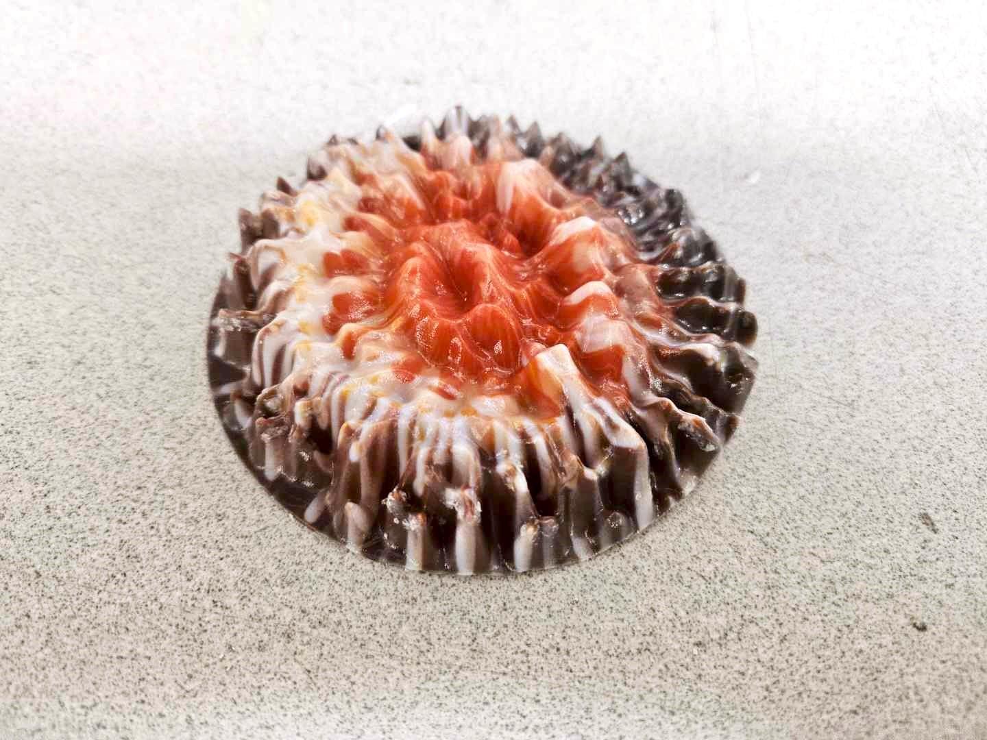 sea urchin 2.jpg