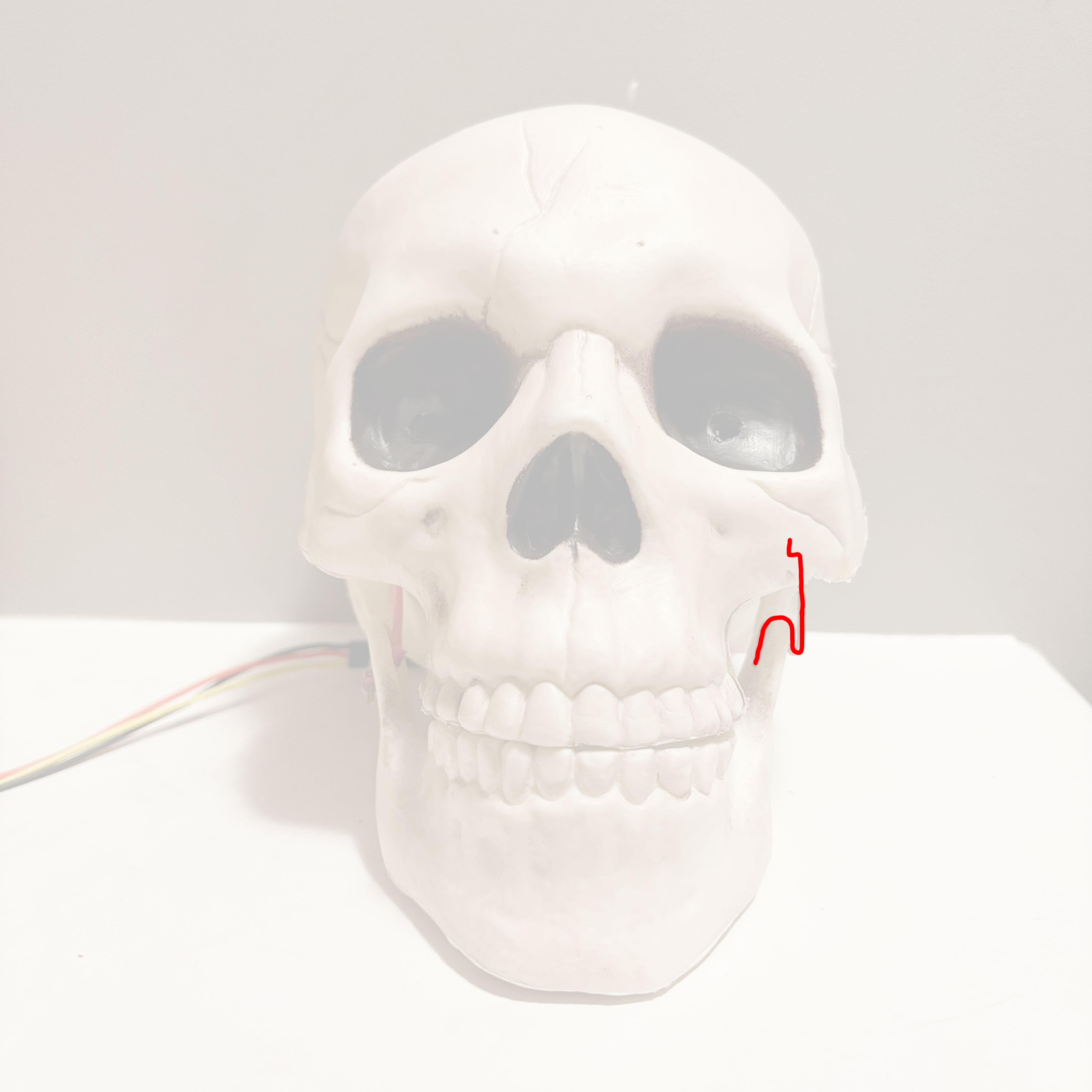 servo-wire-diagram-front.jpg