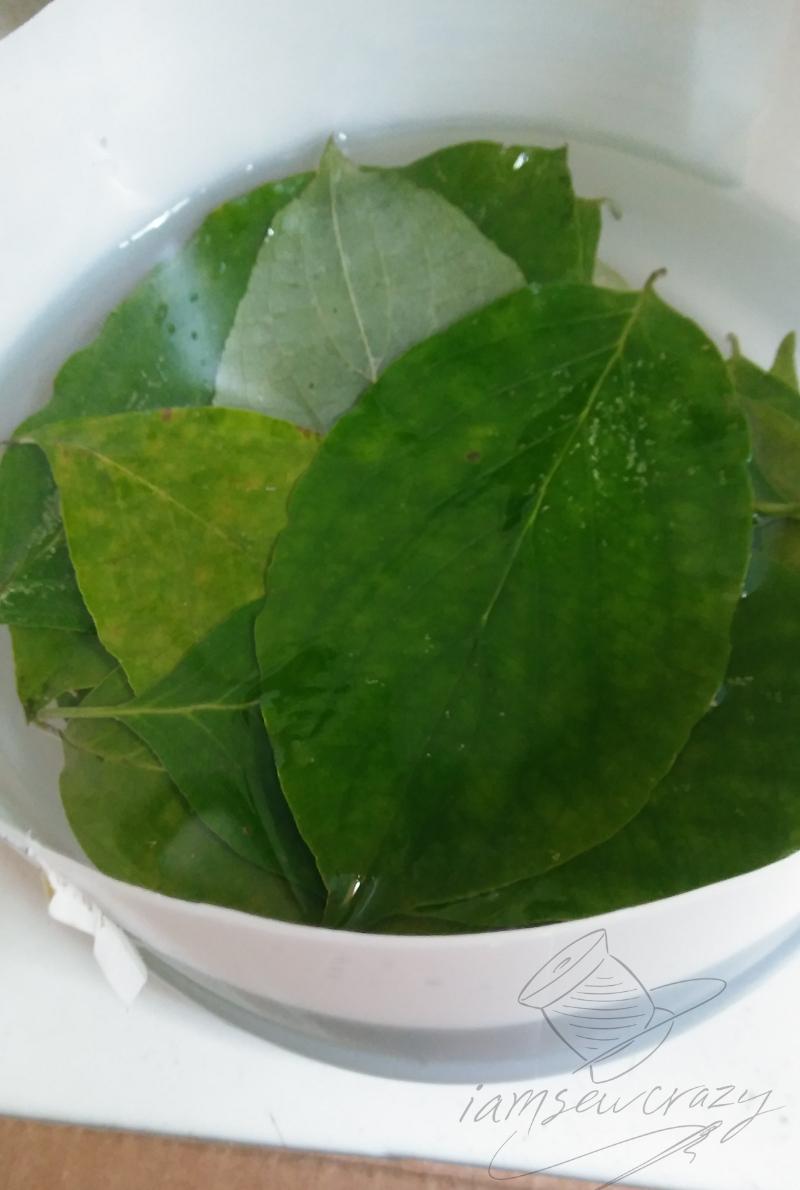 soaking leaves in glycerine.jpg