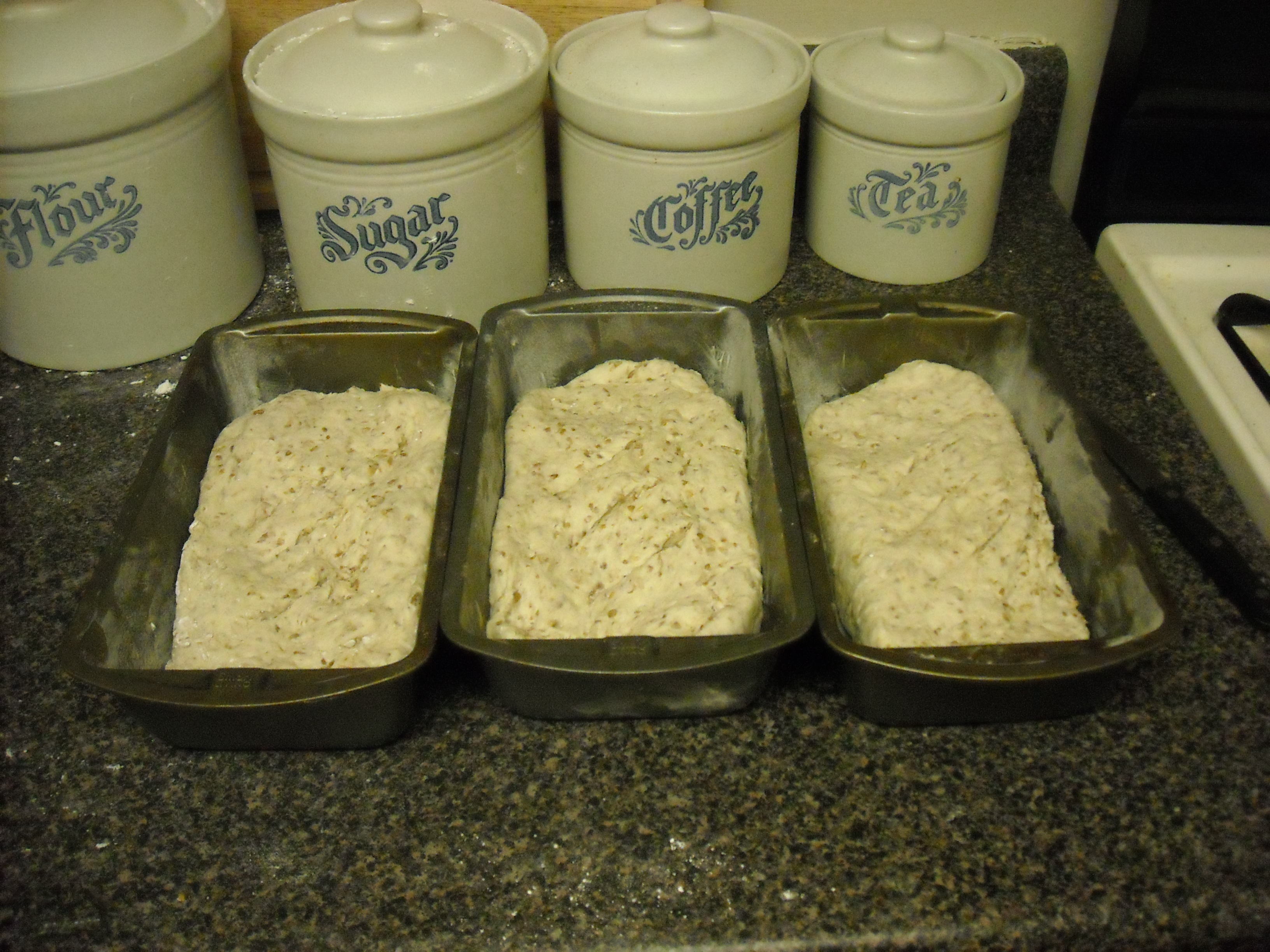 spent grain bread 080.JPG