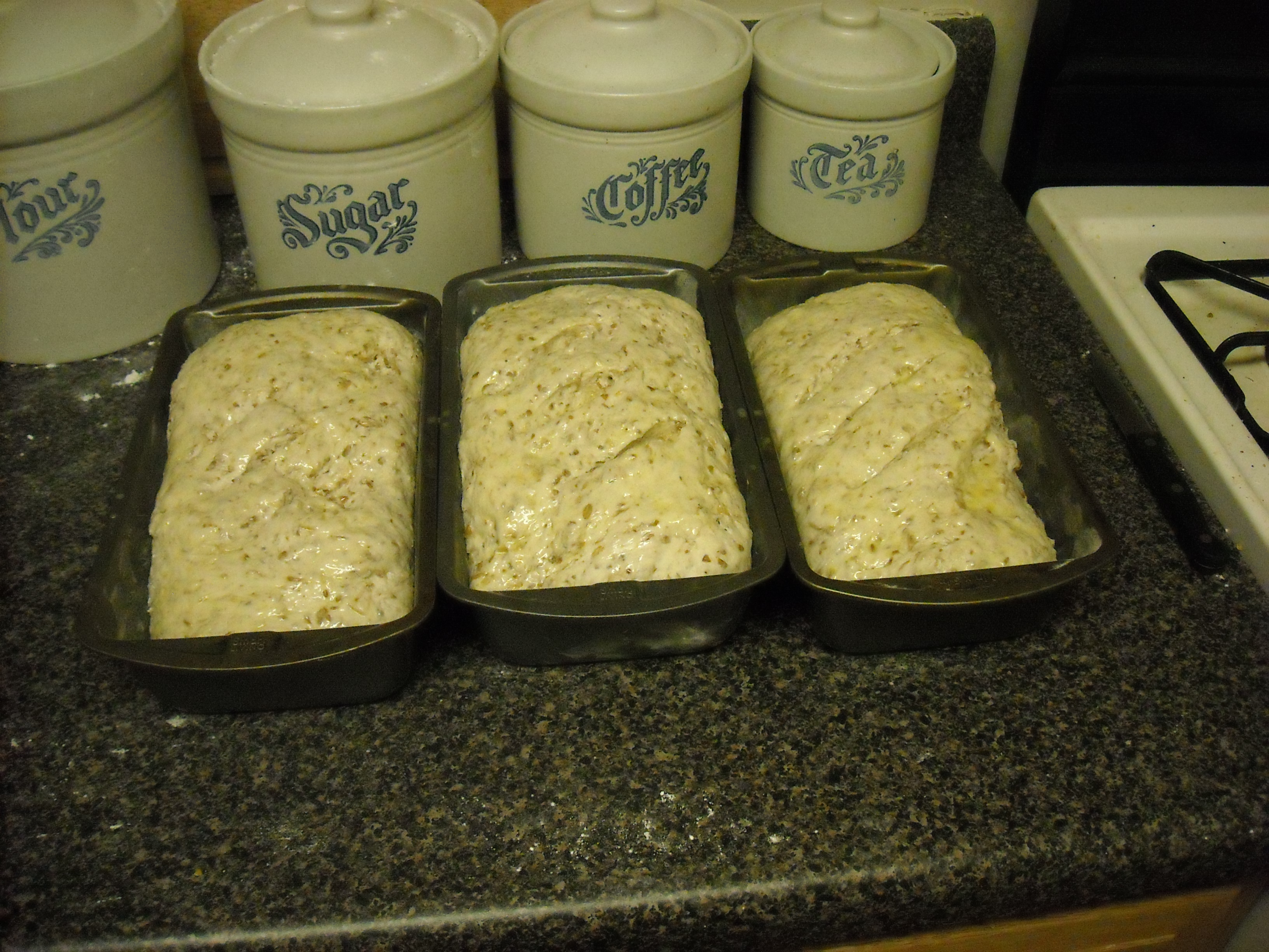 spent grain bread 086.JPG