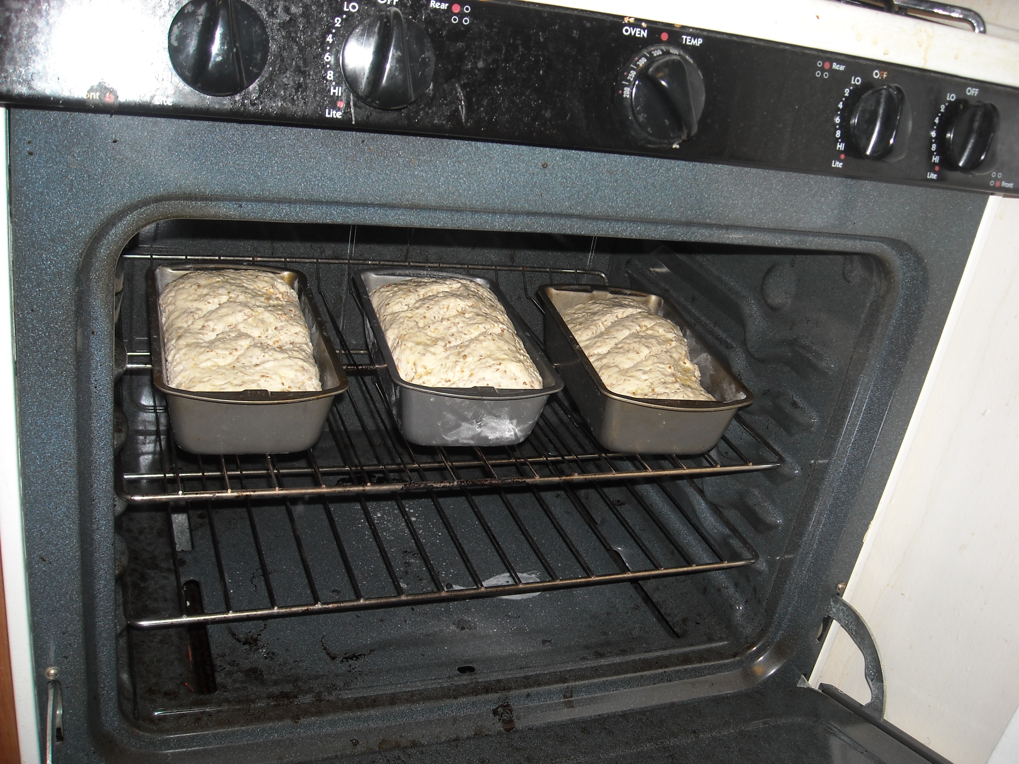 spent grain bread 087.JPG