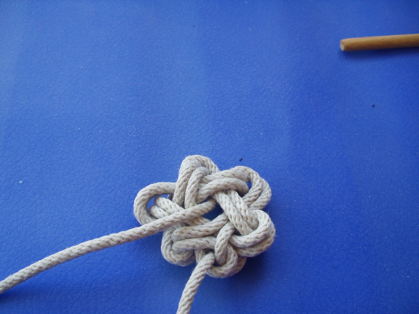 star knot a 014.JPG