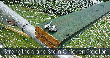 strengthen-stain-chicken-tractor.jpg